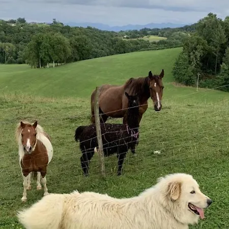 Vakantiehuis Labourdette *