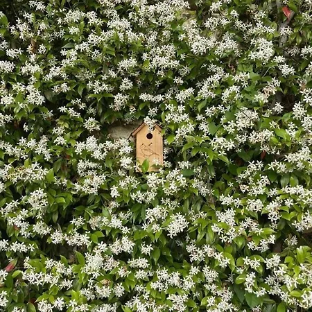 Labourdette Vakantiehuis