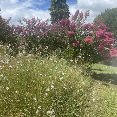 Labourdette Vakantiehuis Lasseube